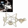 Professional Microphone Shock Mount, Mic Shock Mount Clip with Zinc Alloy Build, Vibration - Isolating Design for Neumann TLM103 TLM193 TLM127 TLM170 MK4, Includes 5/8 to 3/8 Conve (Gold) #2