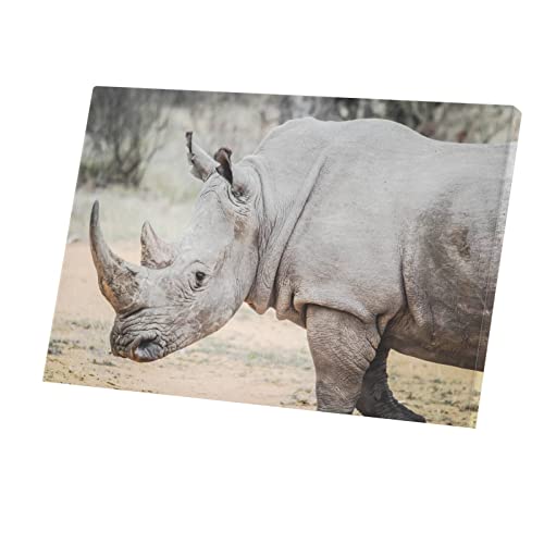Tableau décoratif rhinocéros blanc, affiche sur toile imprimée haut de gamme 60x40cm