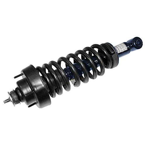 Monroe Shocks & Struts RoadMatic 181322 Strut and Coil Spring Assembly