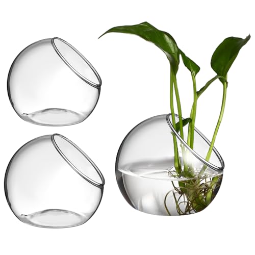 Vases hydroponiques en verre DOITOOL | Récipient de décoration pour terrarium de plantes - 2