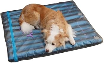 ※S一枚のみ　犬用　ウォーターベッド　マット　介護　床ずれ防止用具 楽天市場】SALE 犬の介護 床ずれ 体圧分散 熱中症予防 医療ケア