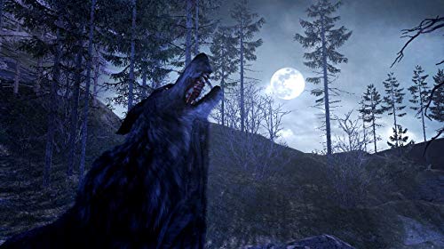 Image of Cabela's Dangerous Hunts 2011 Special Edition (Renewed)