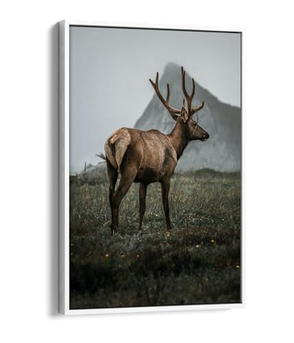 Toile cerf au lever du jour cadre blanc pour une ambiance poétique