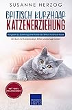 Britisch Kurzhaar Katzenerziehung - Ratgeber zur Erziehung einer Katze der Britisch Kurzhaar Rasse: