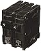 MP240 40-Amp Double Pole Type MP-T Circuit Breaker