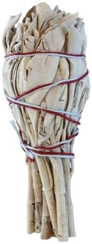 zCgZ[W򉻃TrAAsAi - X[