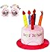 誕生日 帽子 メガネ 2点セット ケーキ 帽子 誕生日グッズ かぶりも コスプレ バースデーケーキハット パーティーメガネ パーティ小物 誕生日飾り付け プレゼント 写真用 撮影道具 子供 大人 兼用