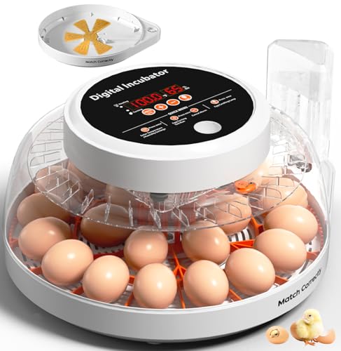 Incubateur automatique pour couver 22 œufs avec affichage d'humidité et régulation thermique
