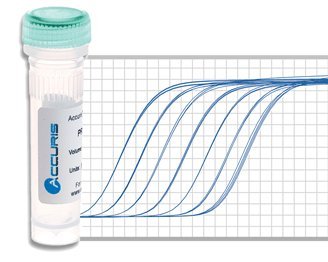 qMax Green, High Rox qPCR Mix, 1000 reactions