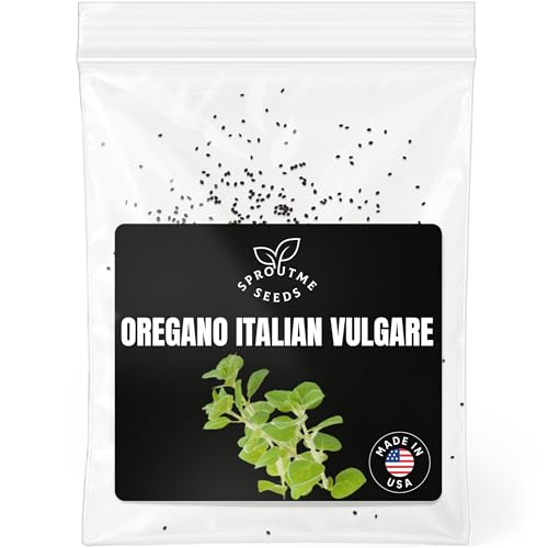 Oregano Common Italian Seeds for Planting – 400+ Non-GMO Heirloom Culinary Herb Seeds (Origanum vulgare)