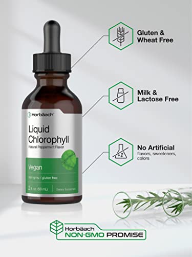 Liquid Chlorophyll | 2 Oz | Vegan, Non-Gmo, And Gluten Free Formula | Natural Peppermint Flavor | By Horbaach #TOP3