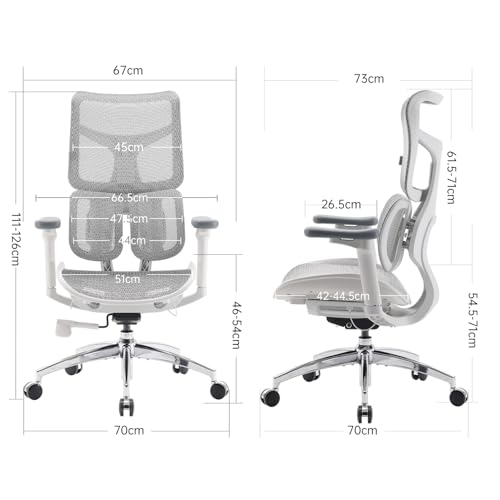 Sihoo Bürostuhl mit ergonomischer dualer Lordosenstütze und verstellbaren Armlehnen