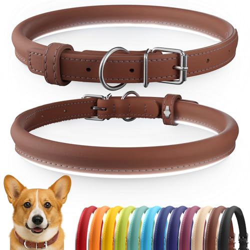 CollarDirect Rolled Leather Dog Collar, Soft Padded Round Puppy Collar, Handmade Genuine Leather Collar Dog Small Large Cat Collars 13 Colors (11-14 Inch, Cinnamon Smooth)