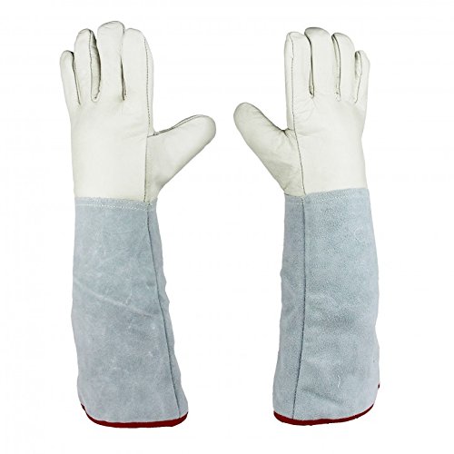 Two Pair of Solid 45cm (13.8