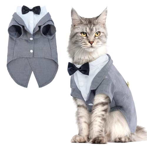 QBLEEV Cat Tuxedo Outfit