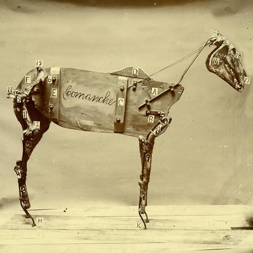 The Life and Afterlife of Comanche