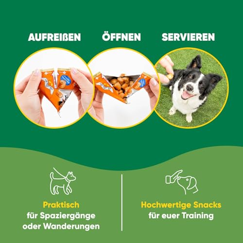 INABA Churu Fun Bites Hundeleckerli ohne Getreide, ohne Zucker, Keine Nebenerzeugnisse, hochwertige Zutaten, besten Hundeleckerbissen als Belohnung mit Huhn & Käse 96 g (1er Pack)