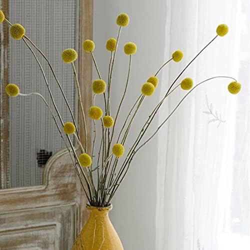 Miniatura 4 de NHUNPPGR - Ramo de ramas de bola de oro eternas de flores secas naturales, decoración de habitación estética nórdica, arreglo floral, accesorios