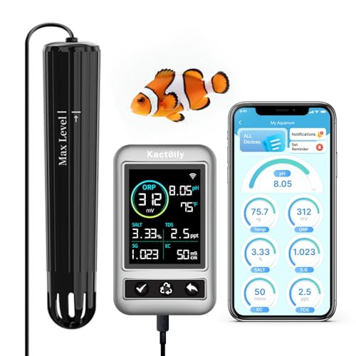 kactoily X}[gANAEj^[ApHAASGAORPATDSAECAxp}`p[^tBbV^NEH[^[eX^[AA^CAvA[gt