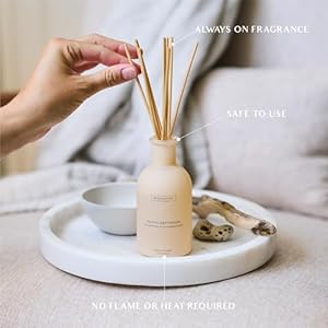 Benevolence LA Reed Diffuser for Home Eucalyptus Fig Sandalwood Elegant Home Bathroom Decor Fragrance Diffuser with Sticks for Bathroom Malibu Sands Collection