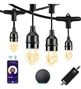 HVS Smart Outdoor String Lights LED 24Ft-12-Acrylic-Bulb Candlelight Tunable Dimmable Warm White ...