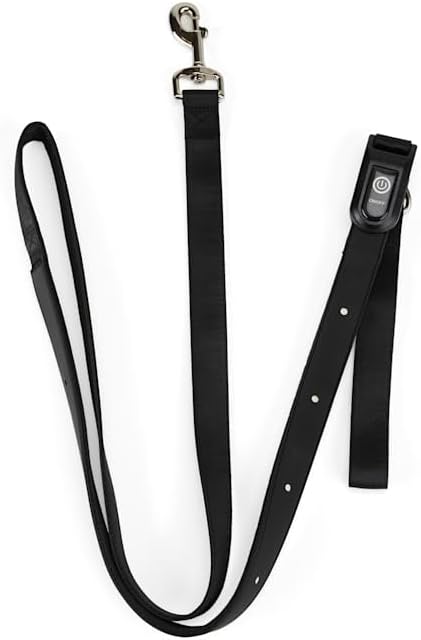 Youly The Extrovert LED Dog Leash, 6 ft.