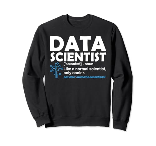 Funny Data Scientist Definition Computer Science IT Lover Sudadera