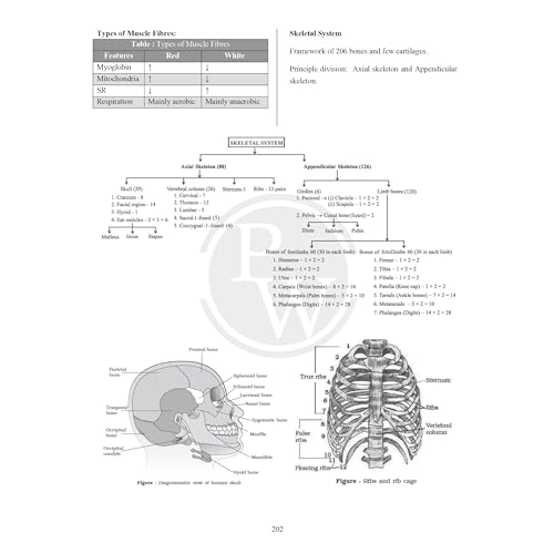 Image of (Old Edition) PW CBSE Class 11 Formula Handbook For 2026 Exams | Chapterwise Key Formulas | Physics, Chemistry, Biology and Mathematics | Conceptual Summaries & Quick Revision Notes