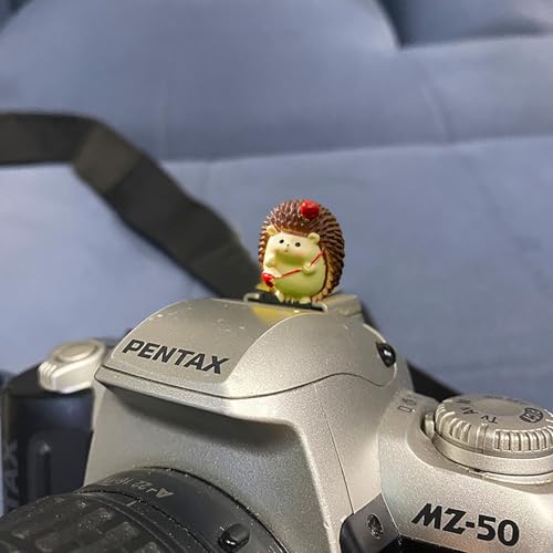 Image of Camera Hot Shoe Cover, Cute Hot Shoe Cap, Hot Shoe Protector Compatible with Sony Fujifilm Fuji Canon Nikon Pentax Leical Panasonic (2pcs Hedgehog)