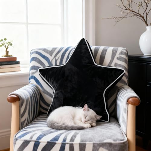 Onechionede Star Pillow - Decorative Throw Pillows Floor Cushion Accent