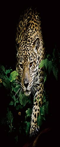A.monamour 3D Door Stickers For Interior Doors Jaguar Walking In The Forest Animal Portrait Vinyl Removable Self Adhesive Door Poster Wallpaper Mural Decals For Bedroom Office Bathroom 95 X 215 Cm #TOP1