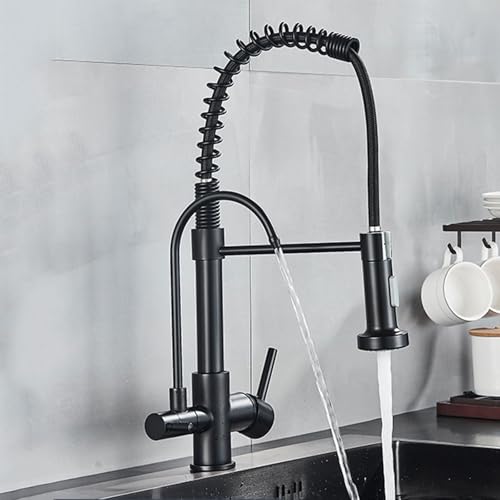 Grifo de cocina cepillado de 3 vías LWX: batidora de fregadero con doble mando superior