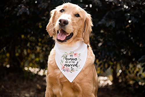 Yhtwin My Humans Are Getting Married Funny White Wreath Pattern Cotton Triangle Dog Bandana Scarf, Pet Dog Engagement Wedding Announcement Photo Props Accessories For Pet Dog Lovers Gifts #TOP3