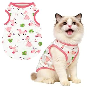 Petcare Cartoon Cat