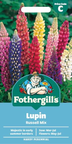 Fothergills Lupin Russell Mixed Flower Seeds 75 Seeds Sow: Mar-Jul Purple/Blue
