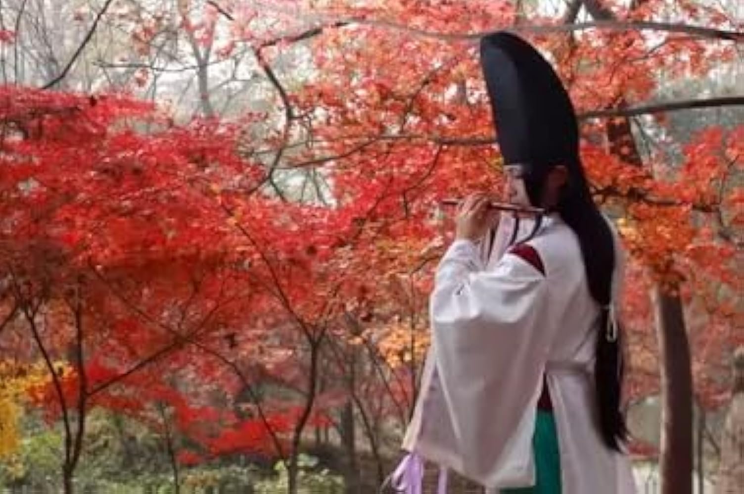 進藤光 ヒカルの碁 ウィッグ 進藤光 ヒカルの碁 ウィッグ 2025年最新