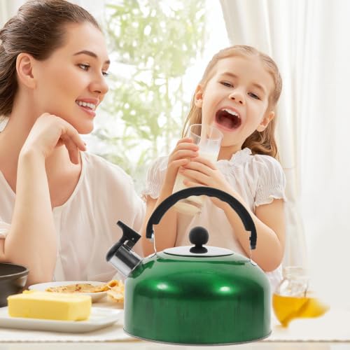 Tetera de acero inoxidable de 1,2l con acabado elegante apta para inducción 6