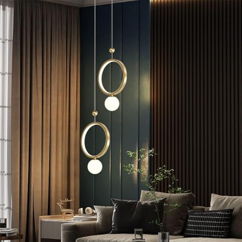 Lustre moderne simple et petite lampe suspendue de restaurant - 6
