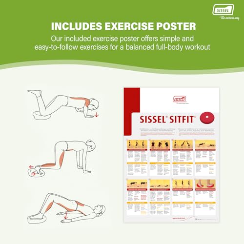 SISSEL® SITFIT® Active Sitting Cushion – Air-Filled Dynamic Seat Pad for Posture Support, Core Activation & Back Relief – Includes Pump, 33 cm - Image 5