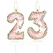 Schmetterling Zahl 23 Kerzen, Rosa Gold Happy 23th Birthday Kerzen für Kuchen, Mädchen 23. Geburtstag Kuchen Dekorationen, Schmetterling 23 Cake Topper, Gold Rosa Cake Topper für Frauen