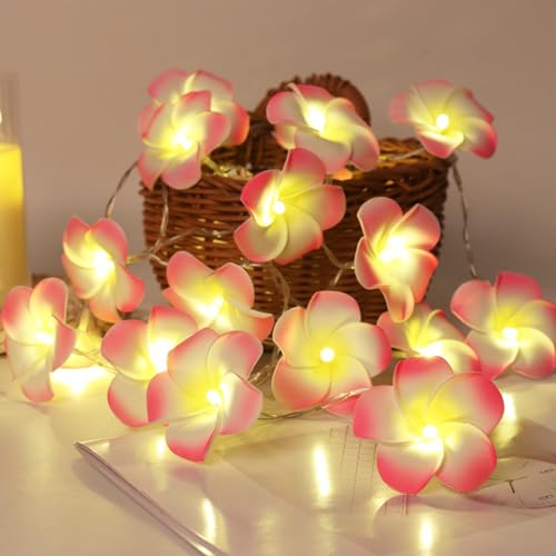 Guirlande lumineuse plumeria fleurs artificielles mousse 20 LED été intérieur