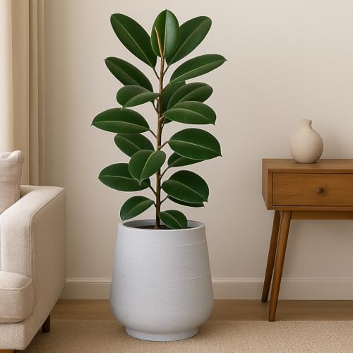 Image of Bigsmall Designed Plant Pots, Premium Durable Polymer Flower Pots for Indoor & Outdoor Plants - Lightweight, Stylish, and Weather-Resistant Garden Planters (Sierra-White Stone, 18 Inch)