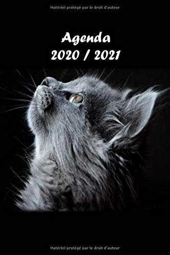 Télécharger agenda scolaire chat: agenda journalier une page par jour 2020 2021 Livre PDF Gratuit