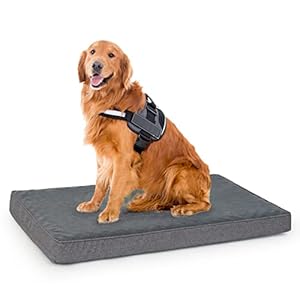 Vamcheer Cama para Perros Grandes – Colchon Perro Ortopedica,Sofa Perro con Espuma De Caja De HuevosAntiestres, Lavable e Desenfundable, Tamaño L (89 x 56 x 8 cm)