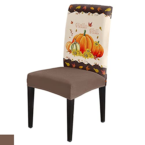 6 Per Set Thanksgiving Pumpkin Hello Fall Chair Covers for Dining Room/Kitchen/Hotel/Ceremony, Autumn Leaves Beige Soft Stretch Chair Protectors Removable Washable Slipcovers