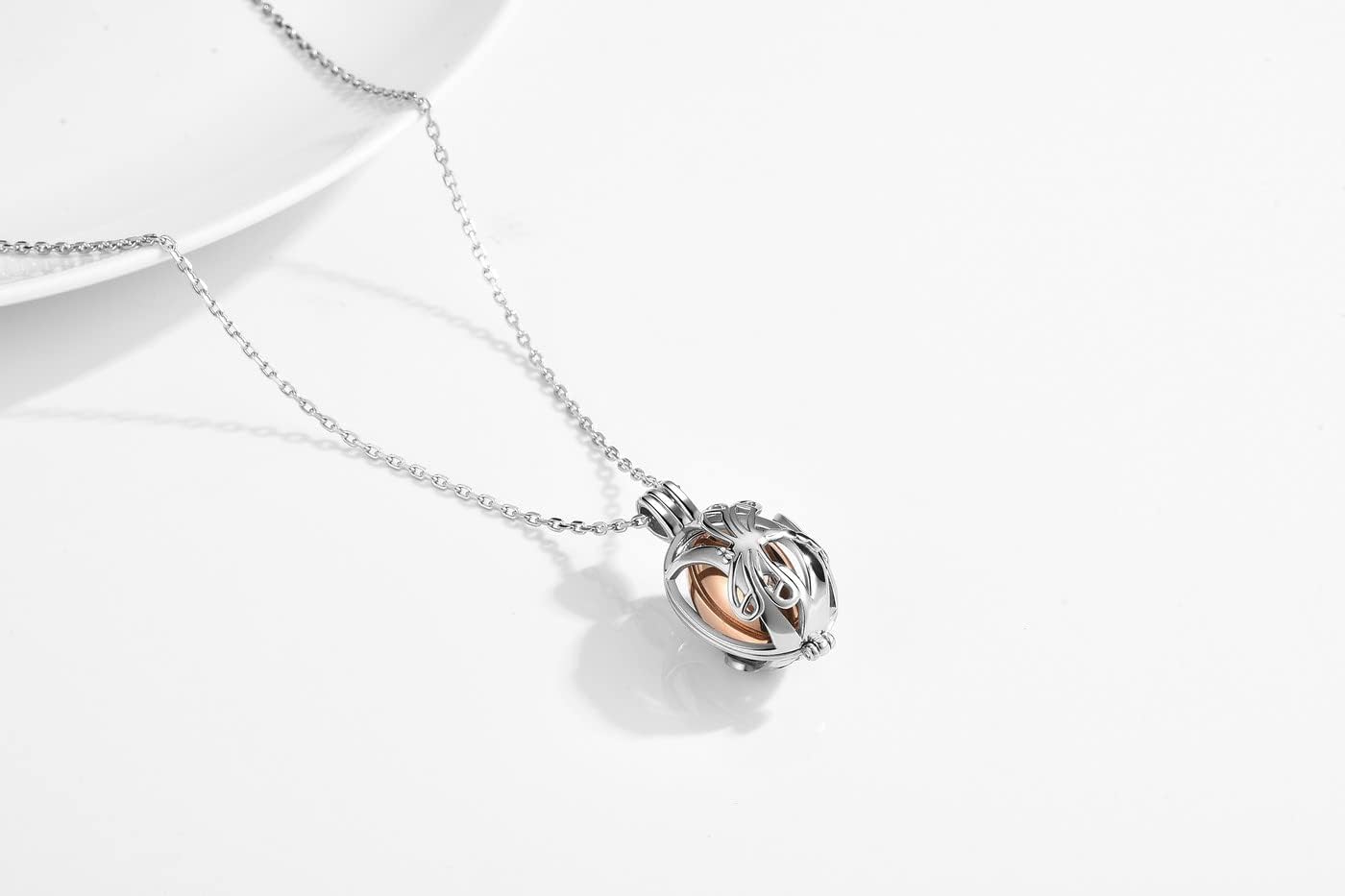 Cremation Urn Necklace with Hollow Dragonfly Keepsake Urn Cremation Jewelry Stainless Steel Memorial Locket Pendant Ashes Holder for Women Men Pet Lover - Image 6