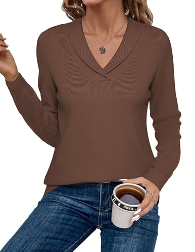 Zeagoo Womens Sweaters Fall Fashion 2025 Long Sleeve Tops V Neck Business Casual Collared Knit Tunic Pullover Outfits