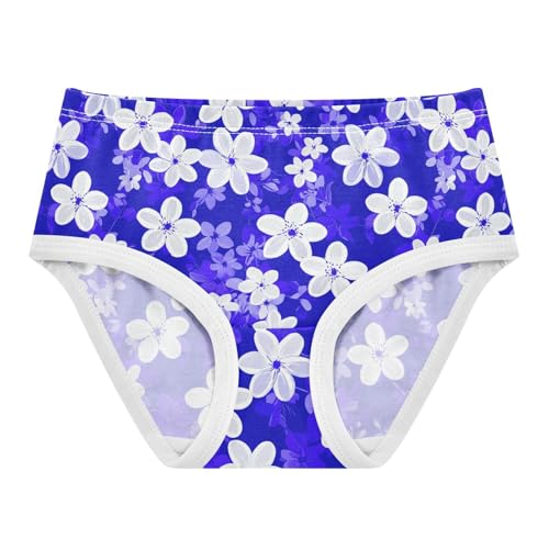 Flowers Floral Blue Toddler Girls's Underwear 2T 2302912
