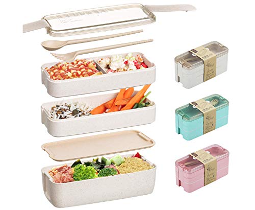 Edtsy Bento box for kids and adults with Dividers 1100 ml - Leakproof