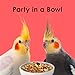 Kaytee Fiesta Cockatiel Food, Nutritious and Fun Blend, Supports Skin, Feather, Digestion, Brain and Heart Health, 4.5 pounds